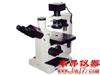 37XB倒置生物显微镜